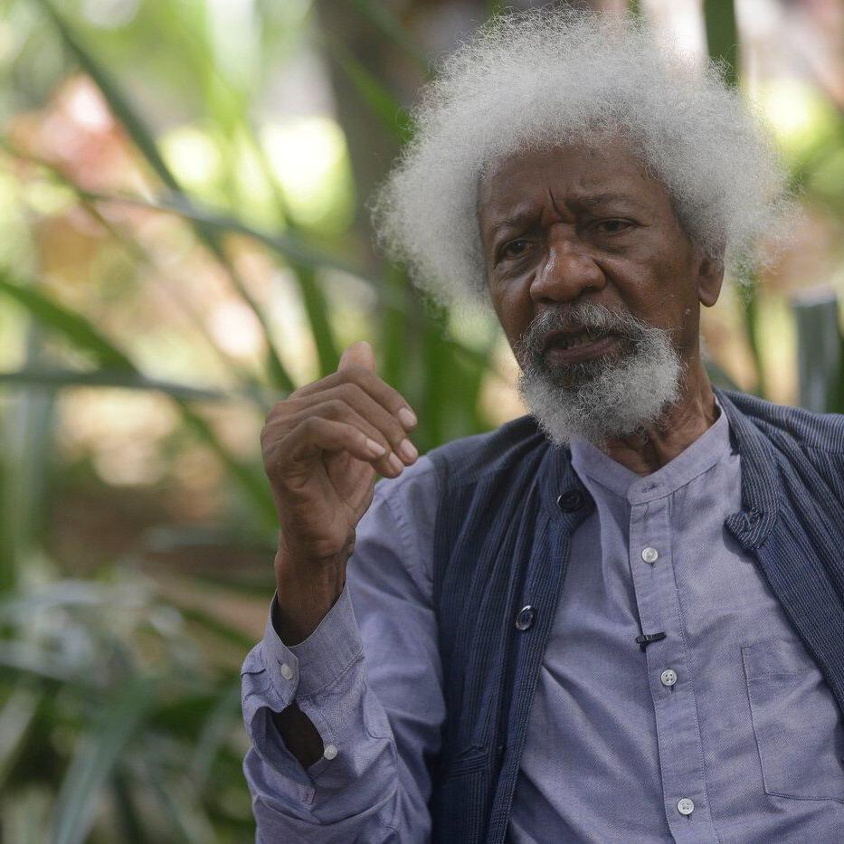 Nigeria's Nobel-winning author Wole Soyinka says his US visa was revoked